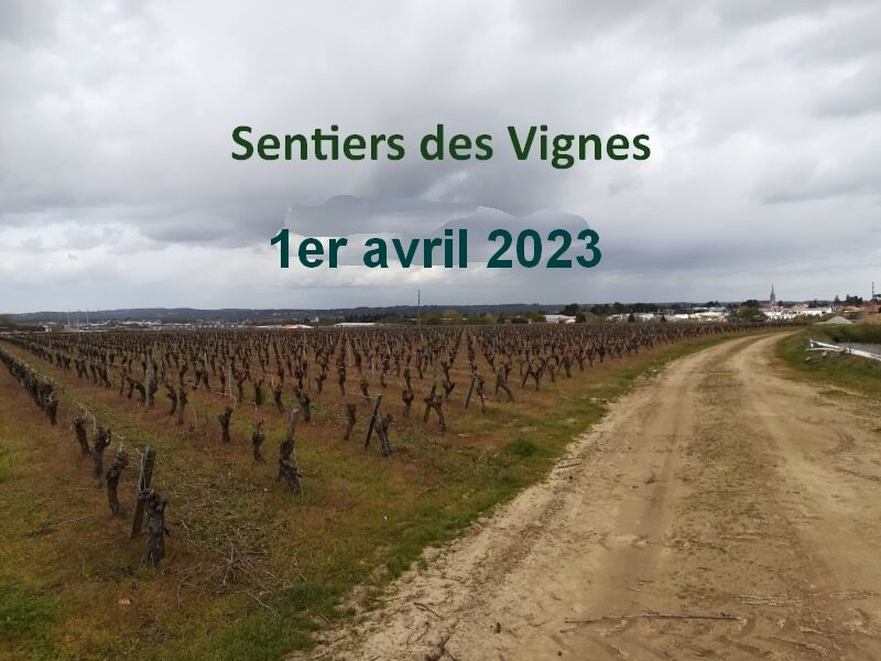Affiche de la compétition Sentiers des Vignes