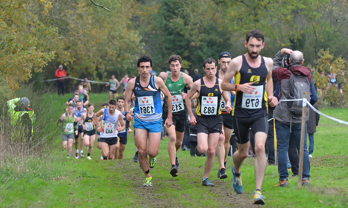 Coureurs de cross-country sur un chemin herbeux, en sous-bois à l'automne