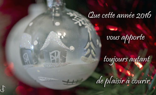 voeux_2016.jpg