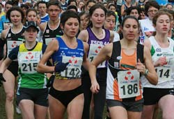 cross_erdre_08.jpg