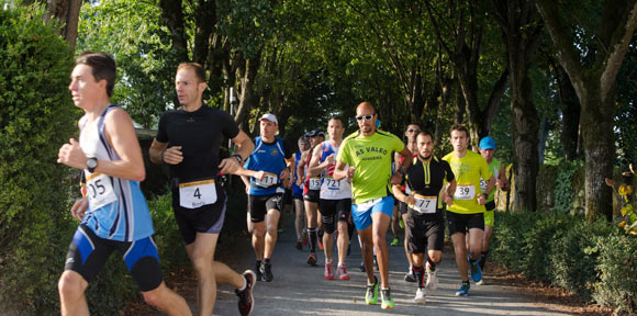 semi-varades-2014.jpg